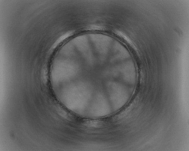 X0000113781213200910211158