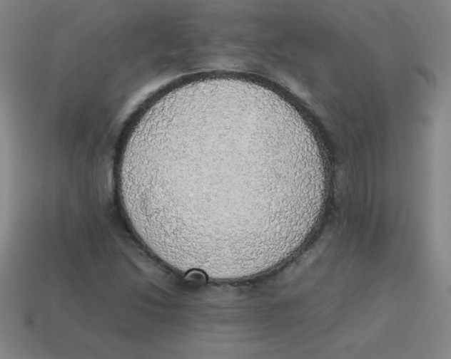 X0000113781214200910211158