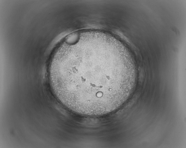 X0000113781215200910211158