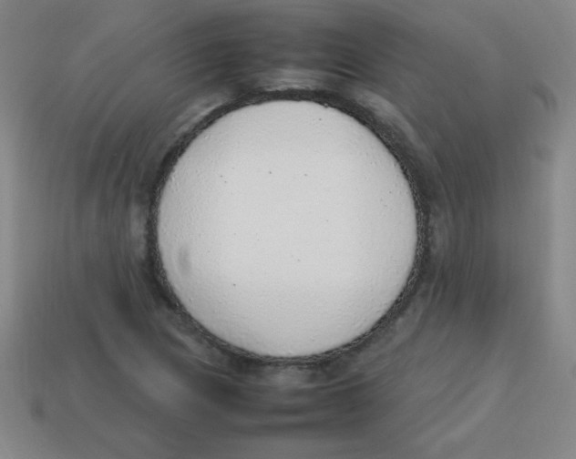 X0000113781217200910211158