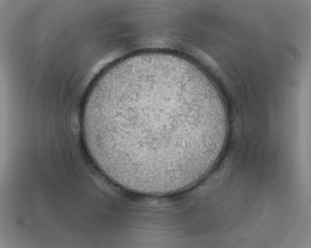 X0000113781218200910211158