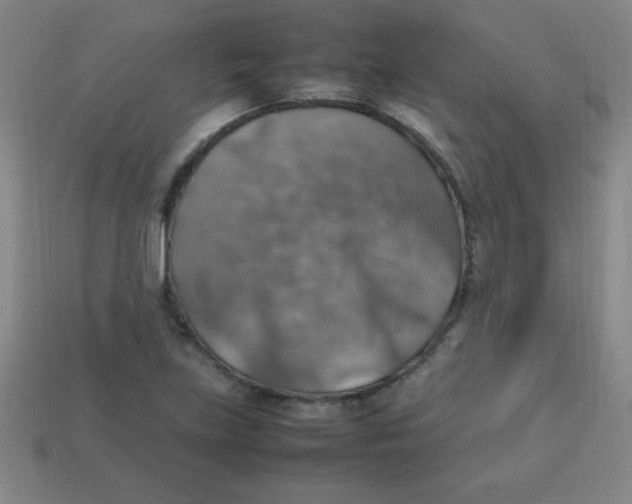 X0000113781219200910211158