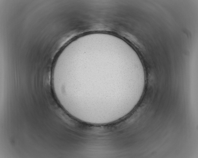 X0000113781220200910211158