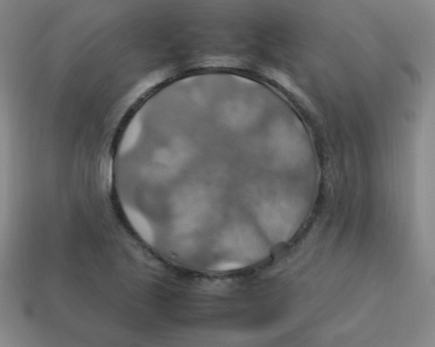 X0000113781221200910211158