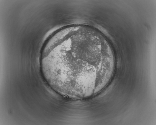 X0000113781222200910211158