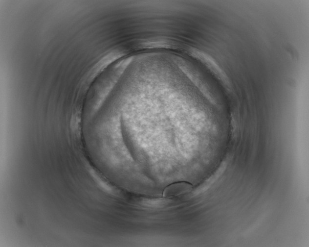 X0000113781225200910211158