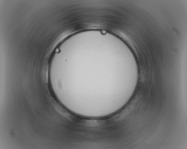 X0000113781227200910211158