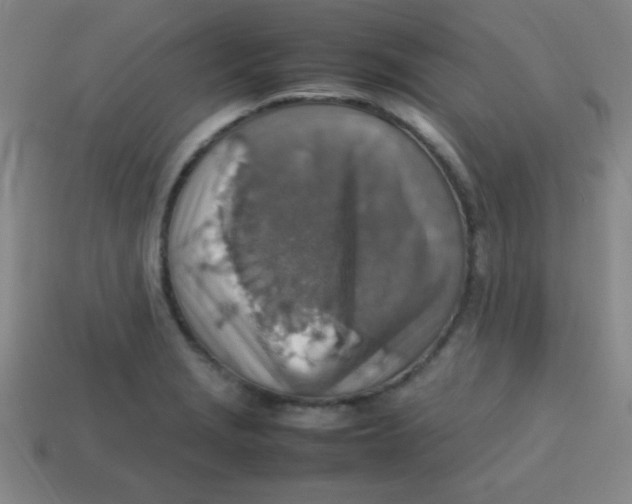 X0000113781229200910211158