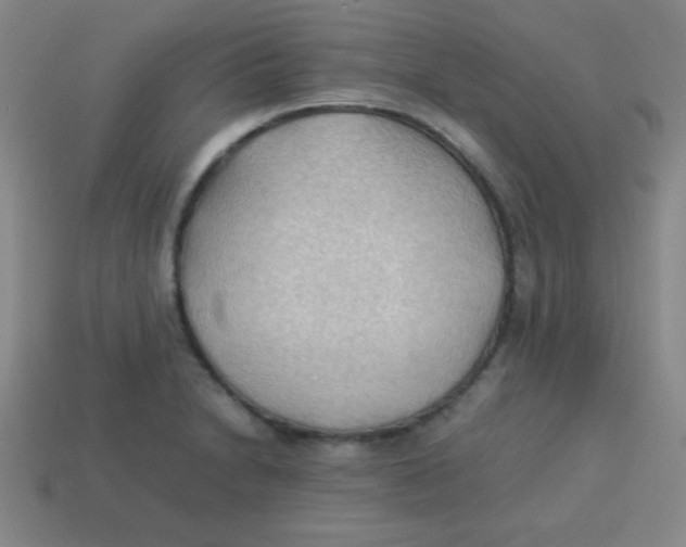 X0000113781230200910211158