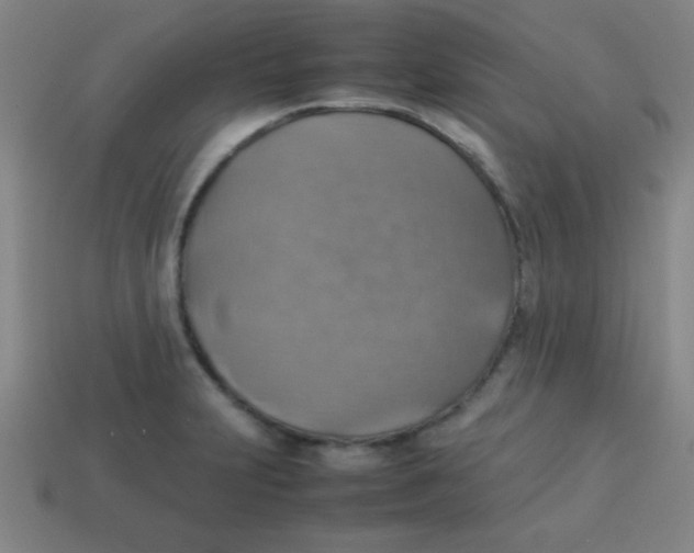 X0000113781231200910211158