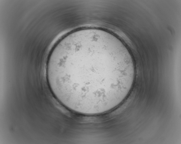 X0000113781232200910211158