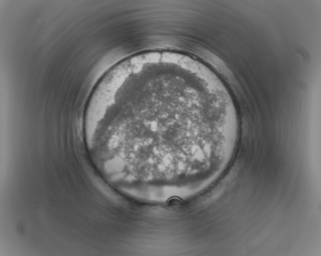 X0000113781234200910211158