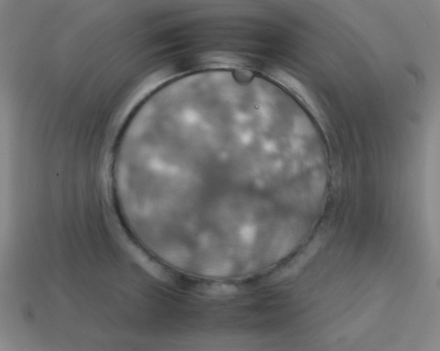 X0000113781235200910211158