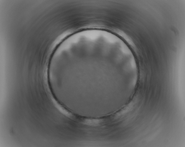 X0000113781237200910211158