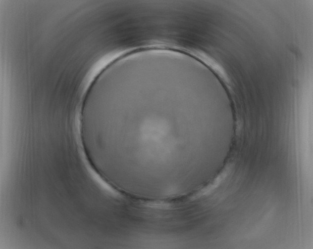 X0000113781239200910211158