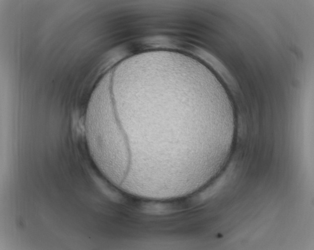 X0000113781241200910211158