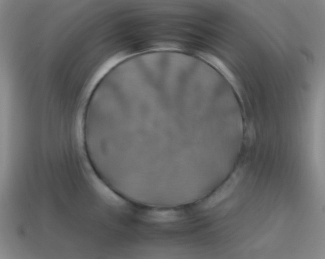 X0000113781243200910211158