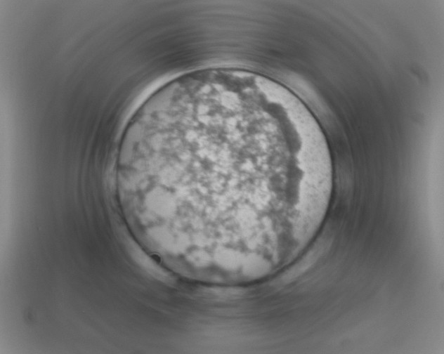 X0000113781244200910211158