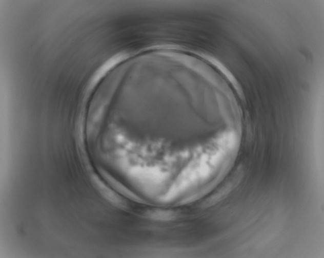 X0000113781245200910211158