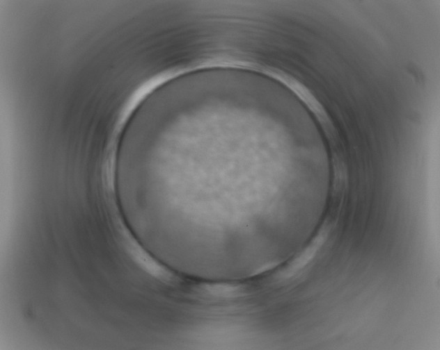 X0000113781246200910211158