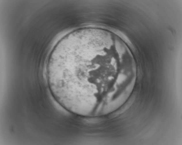 X0000113781247200910211158