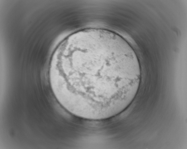 X0000113781248200910211159