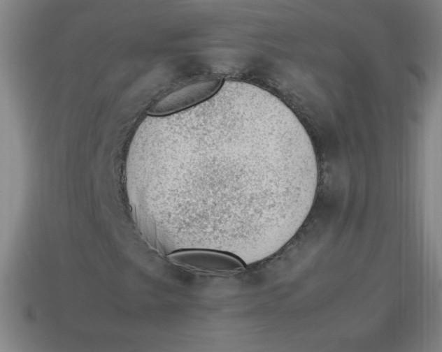 X0000113781249200910211158