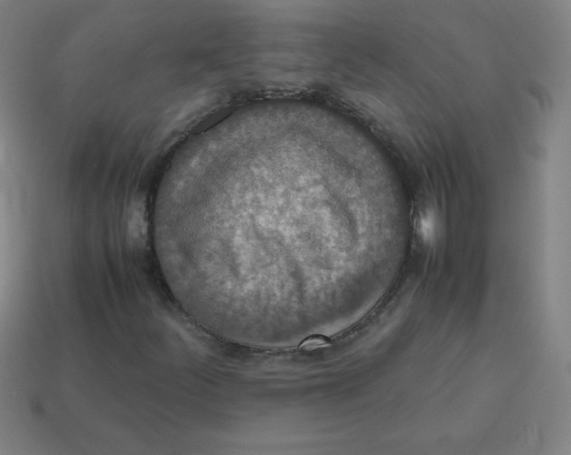 X0000113781252200910211158