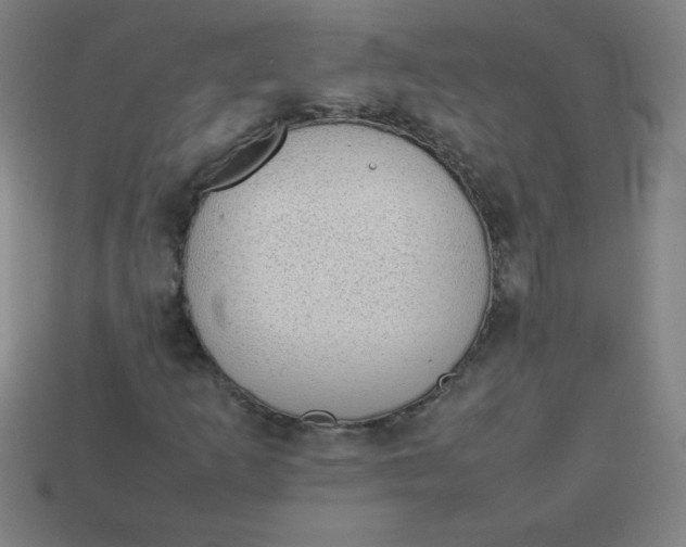 X0000113781253200910211158