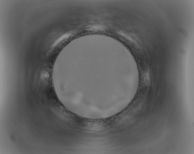 X0000113781254200910211158