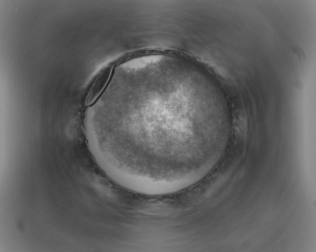 X0000113781256200910211158