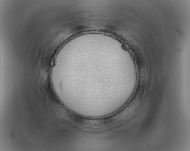 X0000113781257200910211158