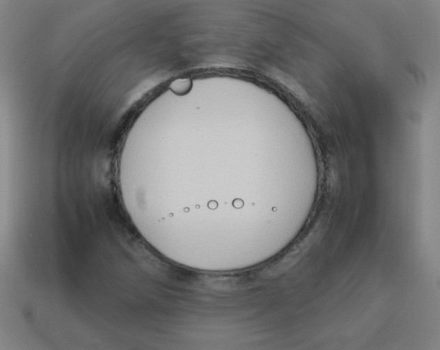 X0000113781258200910211158