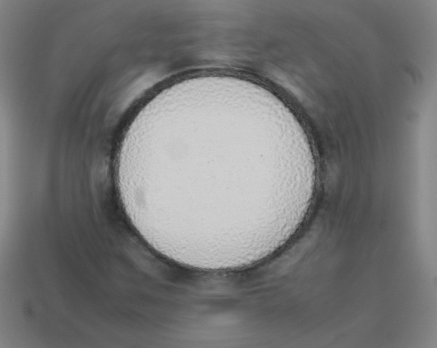 X0000113781259200910211158