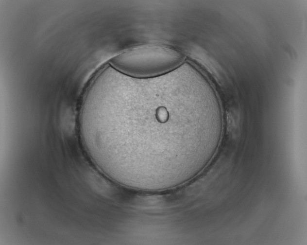 X0000113781260200910211158