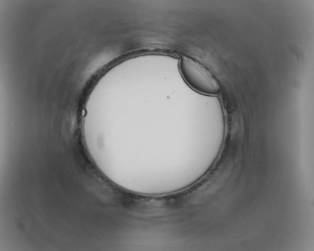 X0000113781261200910211158