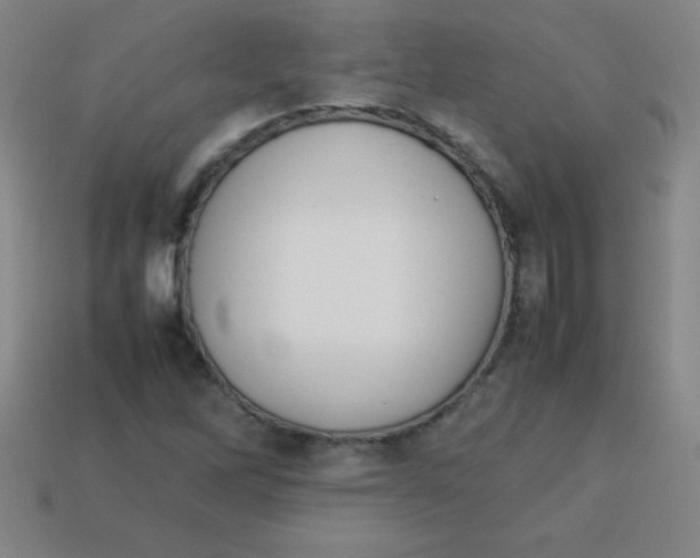 X0000113781262200910211158