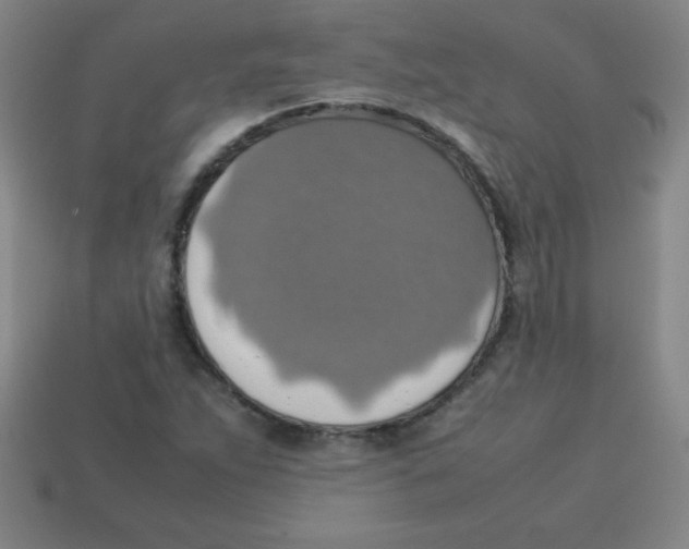 X0000113781263200910211158