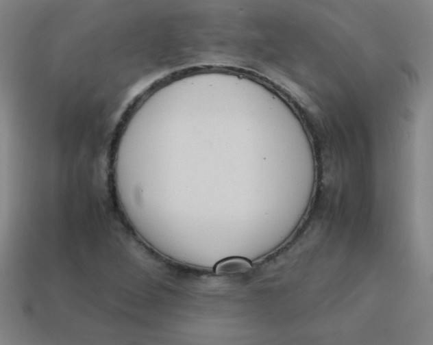 X0000113781264200910211158