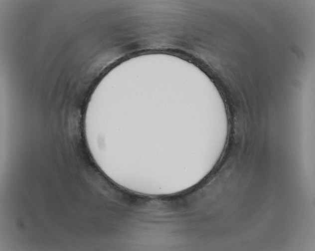 X0000113781265200910211158