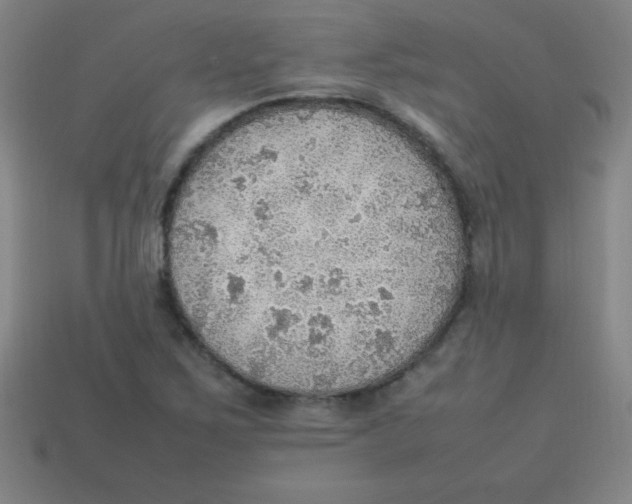 X0000113781267200910211158