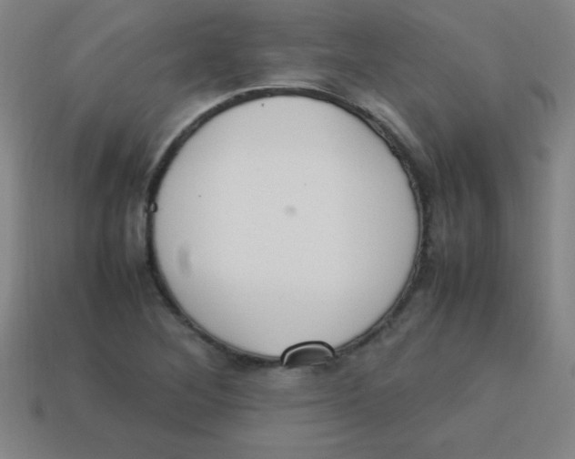 X0000113781268200910211158