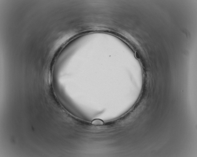 X0000113781269200910211158