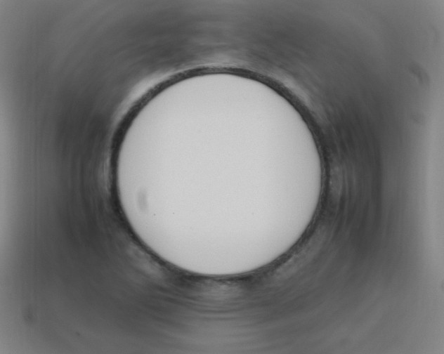 X0000113781270200910211158