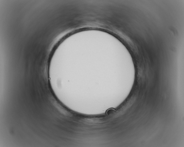 X0000113781272200910211158