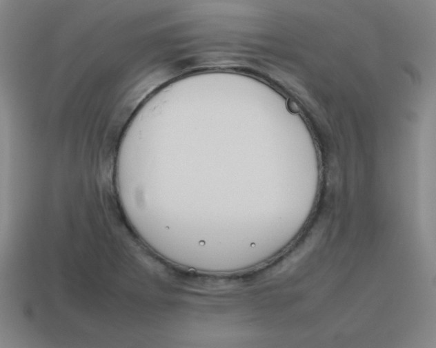 X0000113781273200910211158