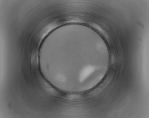 X0000113781274200910211158