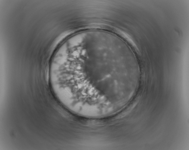 X0000113781275200910211158