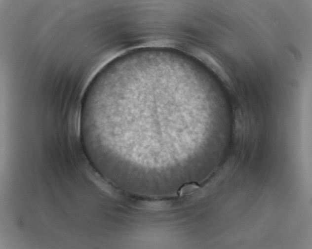 X0000113781276200910211158