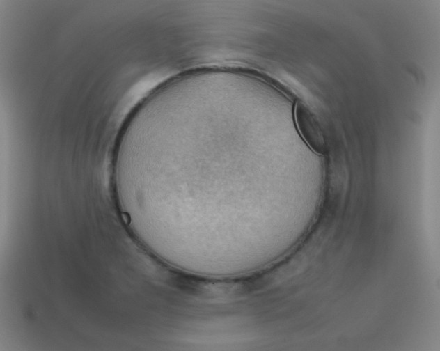 X0000113781277200910211158